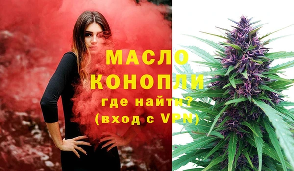 молекула духа Ельня