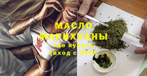 молекула духа Ельня