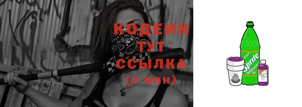ешки Дмитриев