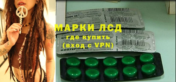 молекула духа Ельня