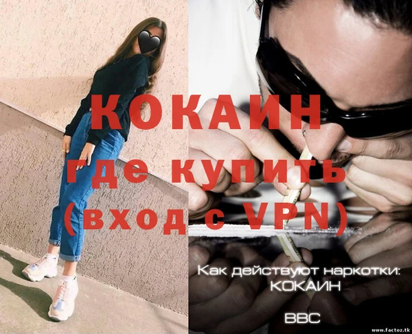 СК Дмитров